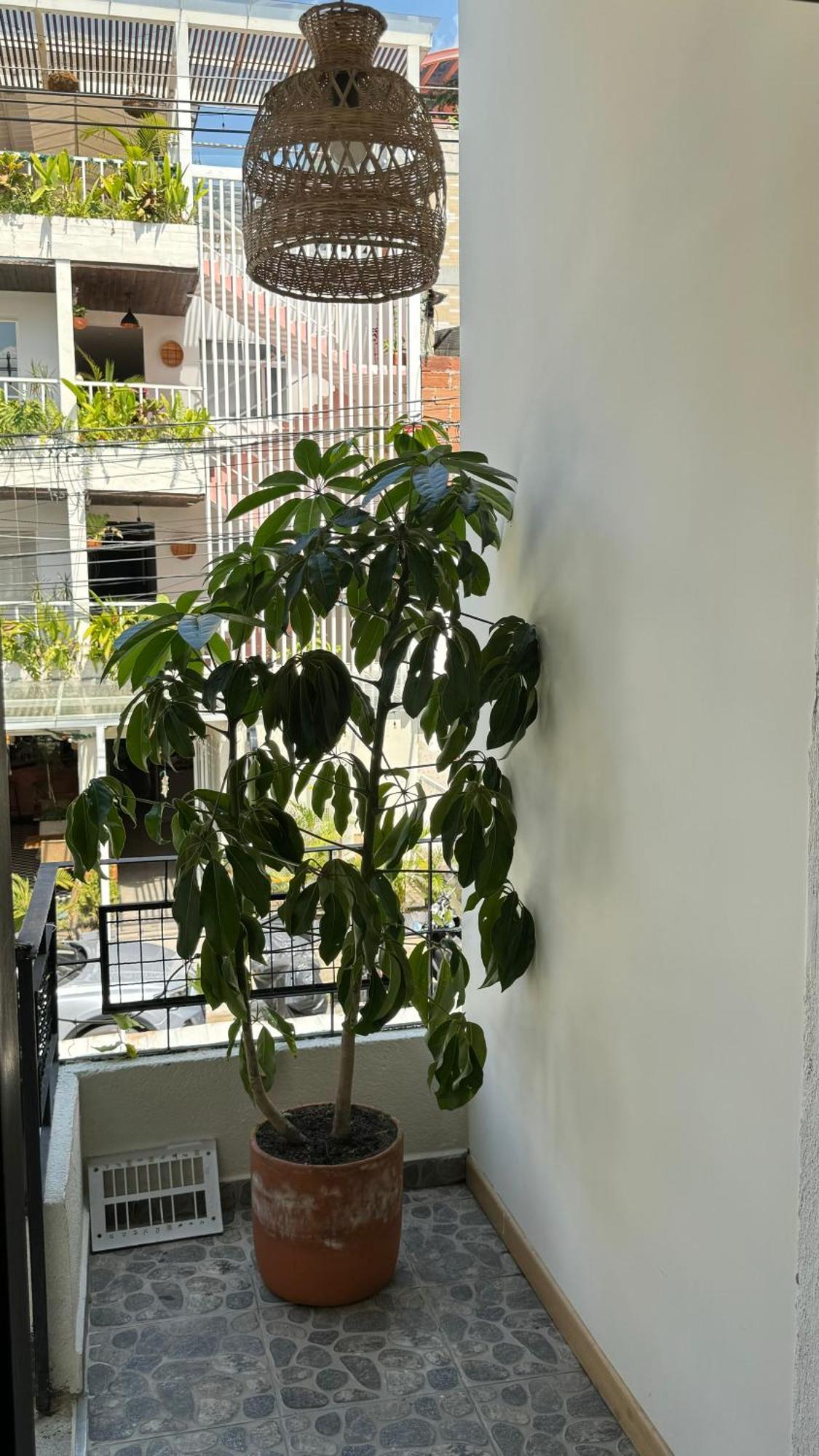 Luum Casa Hotel Manila Medellín Dış mekan fotoğraf